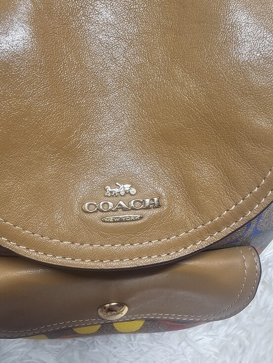 Coach EUC C4097 Pennie Backpack 22 In Rainbow Signature Canvas & Smooth Leather main image 13